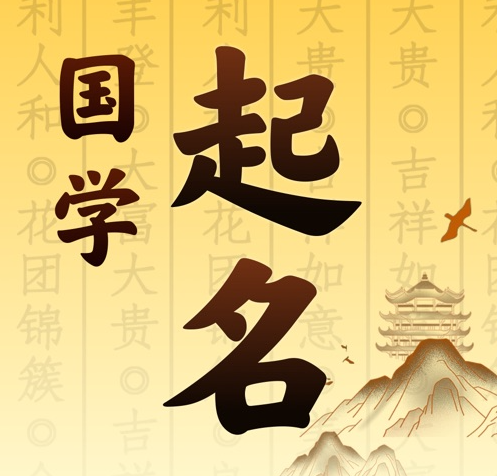 金安国学起名 人工起名一对一
